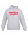 STANDARD GRAPHIC HOODIE