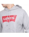 STANDARD GRAPHIC HOODIE