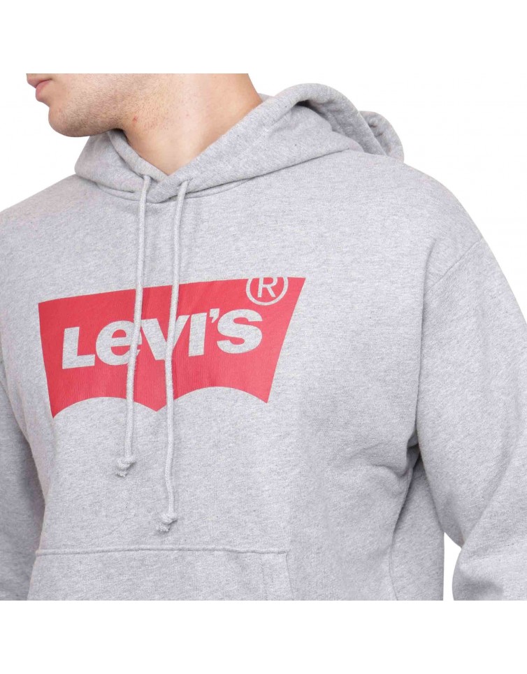 STANDARD GRAPHIC HOODIE