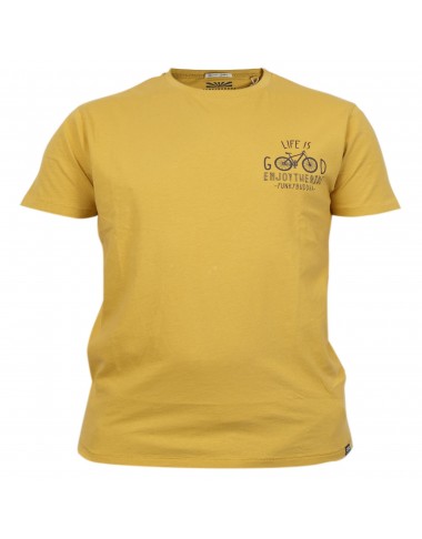 BASIC SHIRT-FBM005-363-04