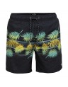 ALOHA STRIPE-BILAPC1LB25BIP200000