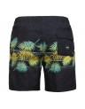 ALOHA STRIPE-BILAPC1LB25BIP200000