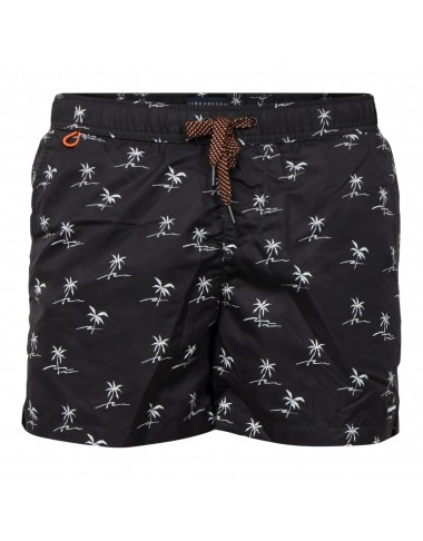 MENS SWIMSUIT-FBM005-058-16