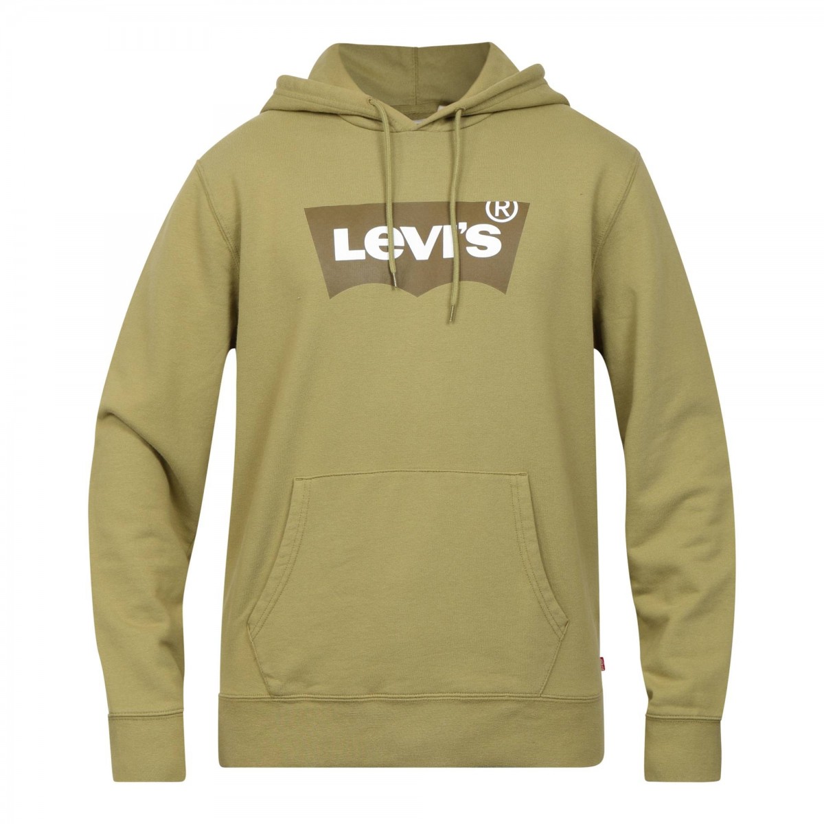 Levi's ® STANDARD GRAPHIC HOODIE Πράσινο