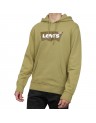 STANDARD GRAPHIC HOODIE-38424-0019