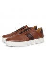PREMIUM CUPSOLE STRIPE-FM0FM04284