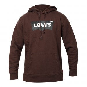 STANDARD GRAPHIC HOODIE-38424-0020