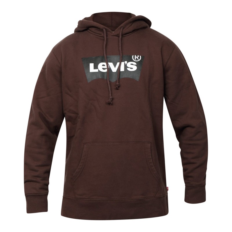 Levi's ® STANDARD GRAPHIC HOODIE Καφέ