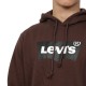 STANDARD GRAPHIC HOODIE-38424-0020