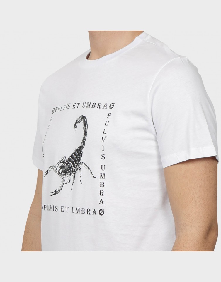 SCORPION BASIC SHIRT-SCORPION-ZERO