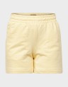 ALFA REGULAR SHORTS-12231608