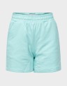 ALFA REGULAR SHORTS-12231608