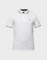 PAULOS POLO-12136668