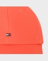 FLAG CAP