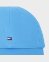 FLAG CAP