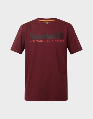WWES FRONT TEE