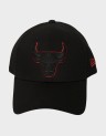 METALLIC OUTLINE 9F CHICAGO BULLS