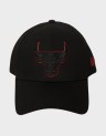 METALLIC OUTLINE 9F CHICAGO BULLS