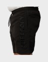 PREMIUM EMB 17" SWIM SHORT