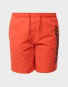 SPORT GRAPHIC 17" SWIM SHORT