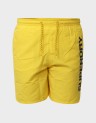 SPORT GRAPHIC 17" SWIM SHORT