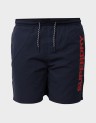 SPORT GRAPHIC 17" SWIM SHORT