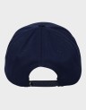 ARCH SNAPBACK