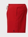 BASIC LOGO TRUNK