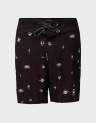 BOARD SHORTS