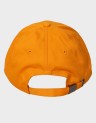 TH FLAG CAP