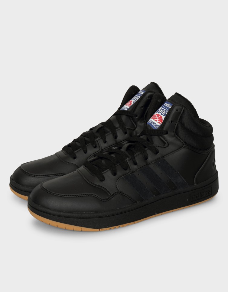 HOOPS 3.0 MID