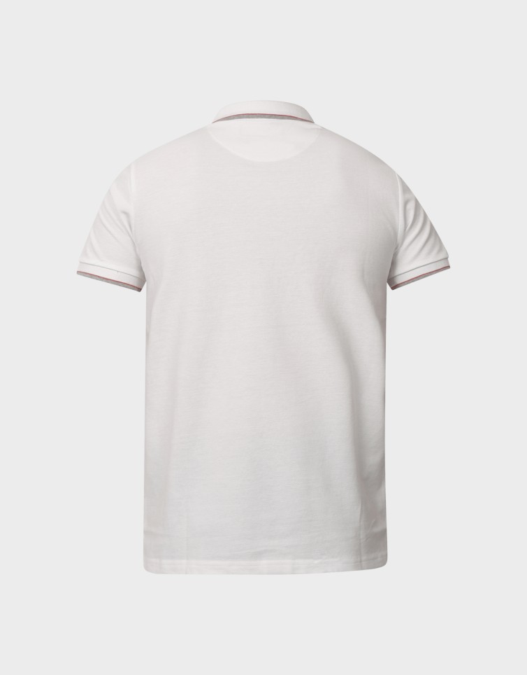 POLO COLORED COLLAR