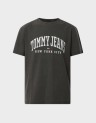 REG ARC VARSITY WASHED TEE