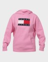 TJW RLX MELANGE FLAG HOODIE EX