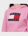 TJW RLX MELANGE FLAG HOODIE EX