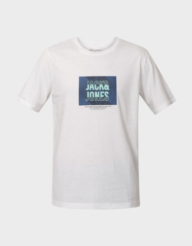 JJHUDSON TEE SS CREW NECK LN