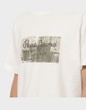 DROP 1 DALTER TEE