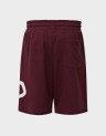 MEN'S SWEAT SHORTS
