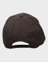 ARCH SNAPBACK