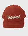 3D EMBROIDERED TRUCKER
