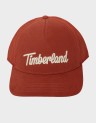 3D EMBROIDERED TRUCKER