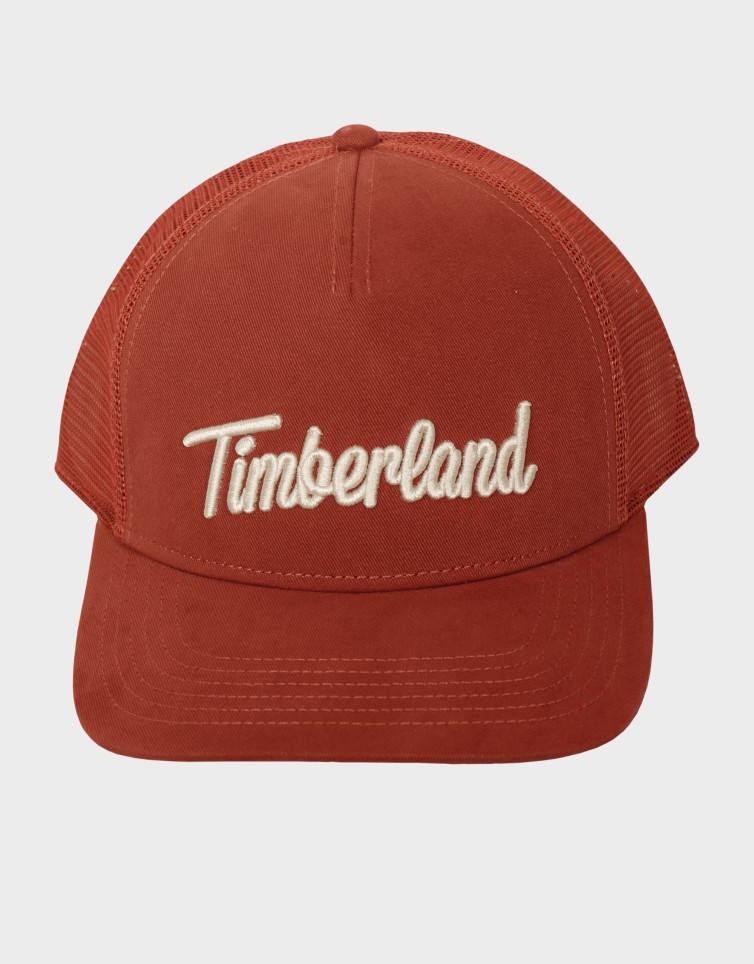 3D EMBROIDERED TRUCKER