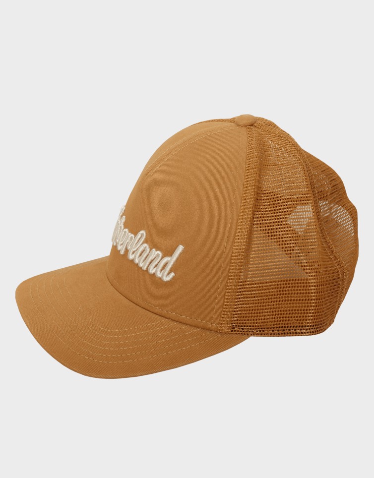 3D EMBROIDERED TRUCKER