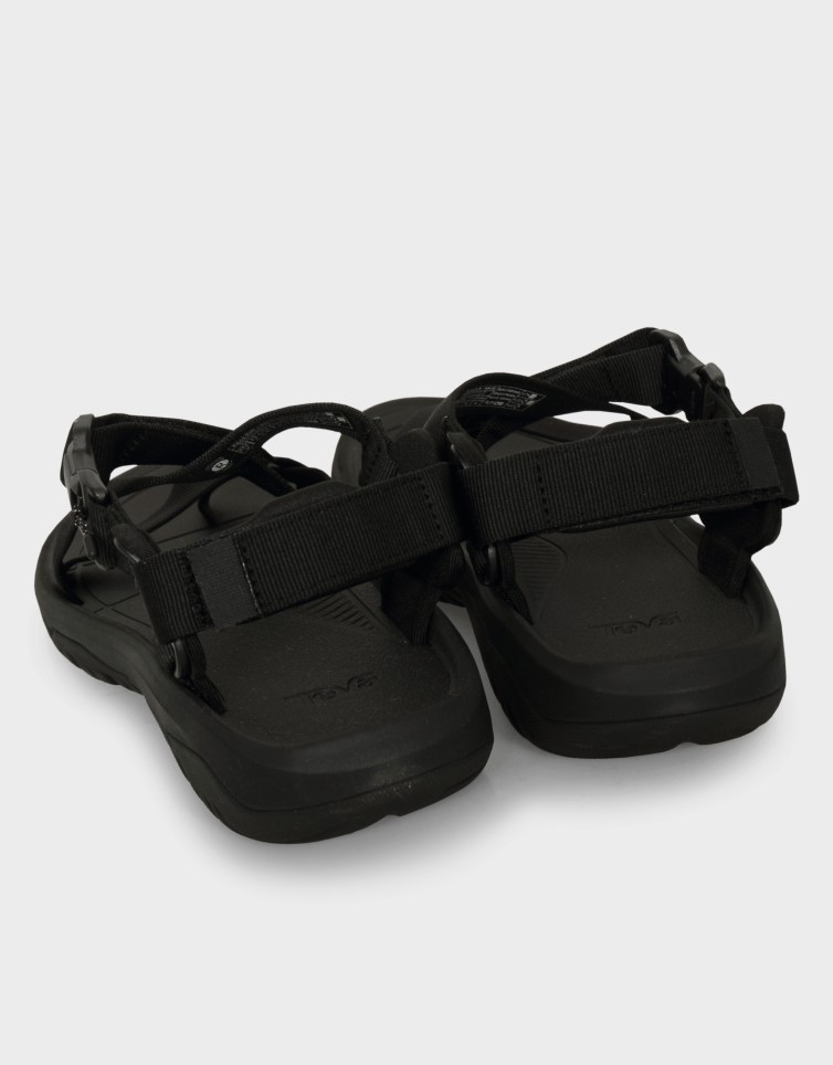 HURICANE TERRA DACTYL
