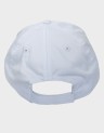 TJW LINEAR LOGO 6 PANEL CAP