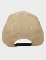 ARCH SNAPBACK