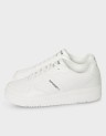 MCQ 800
