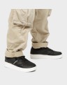 MCQ 800