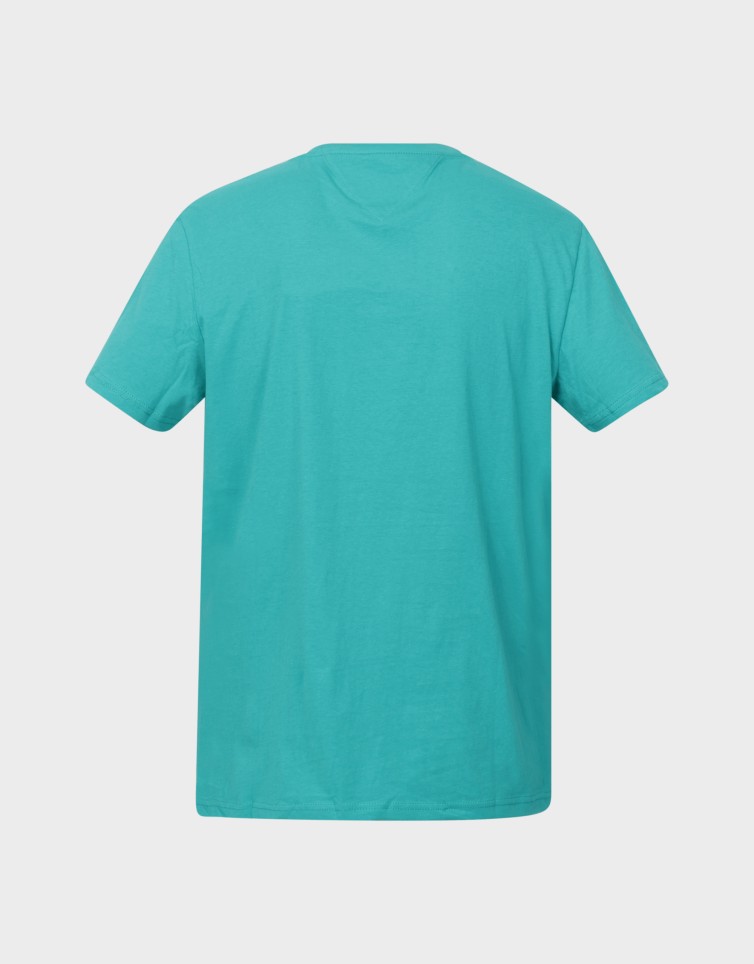 SLIM ESSENTIAL FLAG TEE