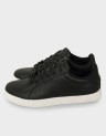 TRENT ANTHRACITE